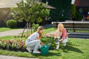 http://minimal-garden.com/Landscaping-the-front-of-the-house-on-a-small-budget